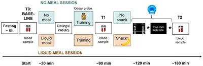 Hungry for compliments? Ghrelin is not associated with neural responses to social rewards or their pleasantness